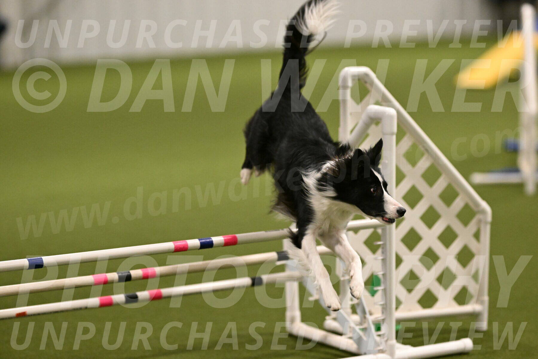 Keeper-Laurie-Wischt-03544