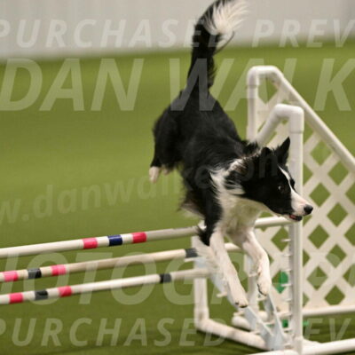 Keeper-Laurie-Wischt-03544