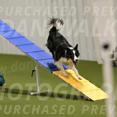 Keeper-Laurie-Wischt-03547