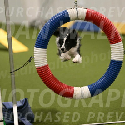 Keeper-Laurie-Wischt-03548