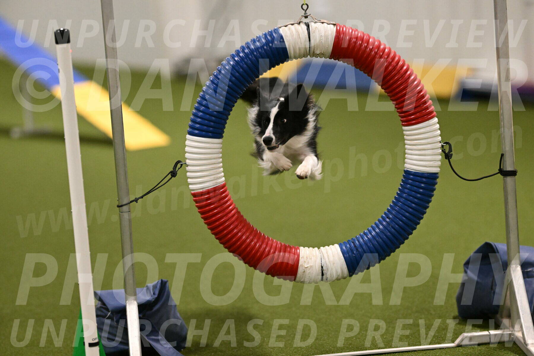 Keeper-Laurie-Wischt-03548