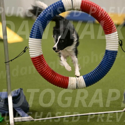 Keeper-Laurie-Wischt-03549