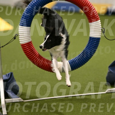 Keeper-Laurie-Wischt-03550