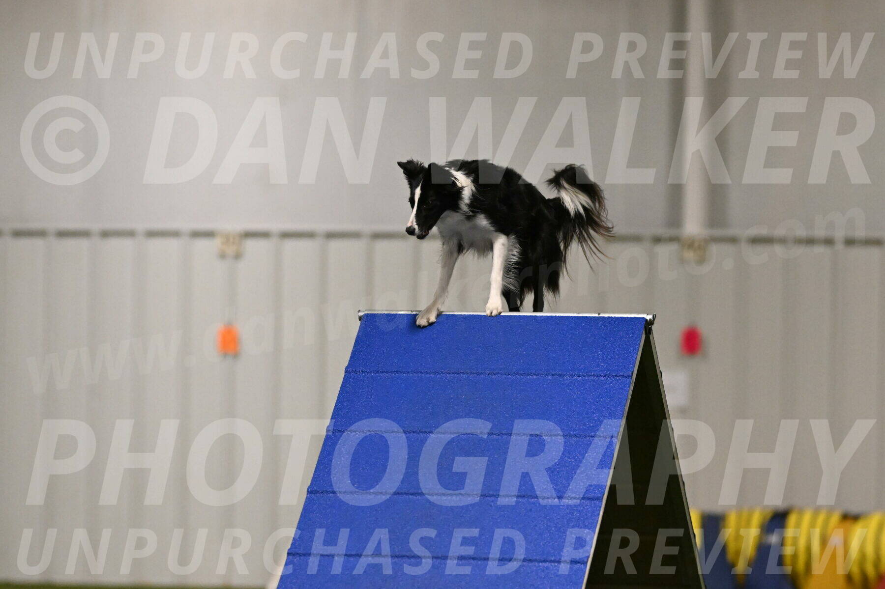 Keeper-Laurie-Wischt-03551