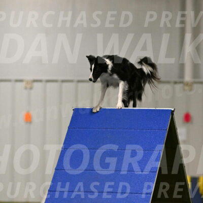 Keeper-Laurie-Wischt-03551