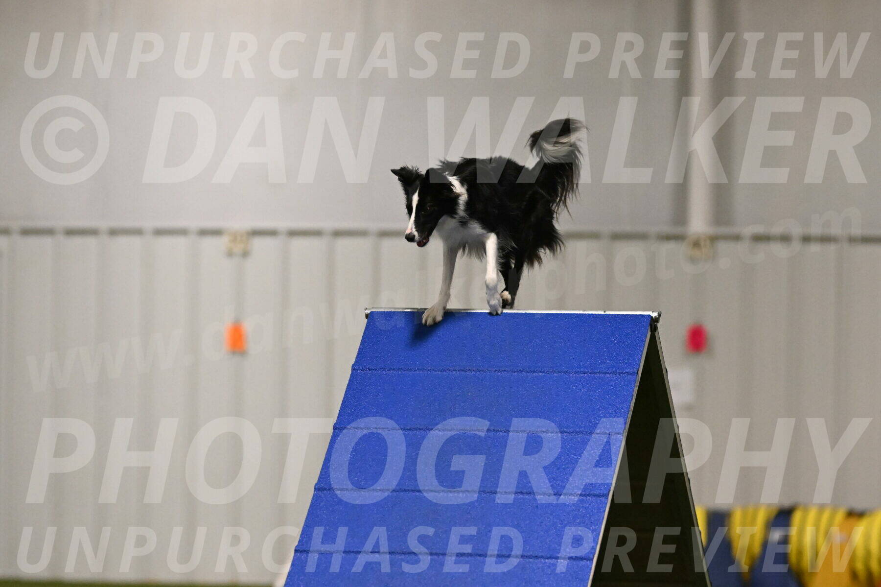 Keeper-Laurie-Wischt-03552