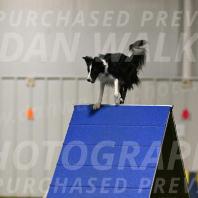 Keeper-Laurie-Wischt-03552