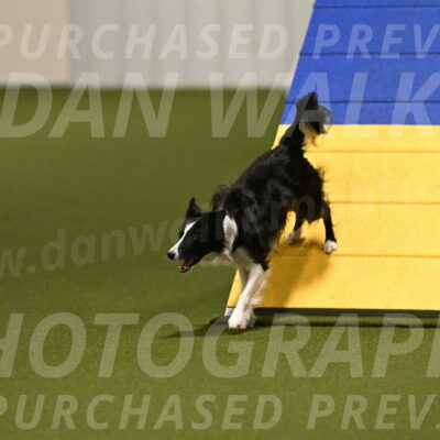 Keeper-Laurie-Wischt-03558