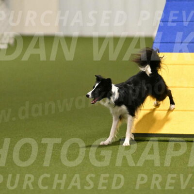 Keeper-Laurie-Wischt-03561