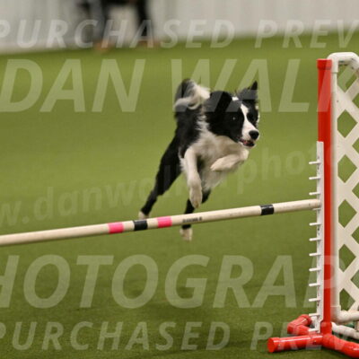 Keeper-Laurie-Wischt-03566