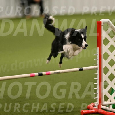 Keeper-Laurie-Wischt-03567