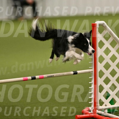 Keeper-Laurie-Wischt-03568