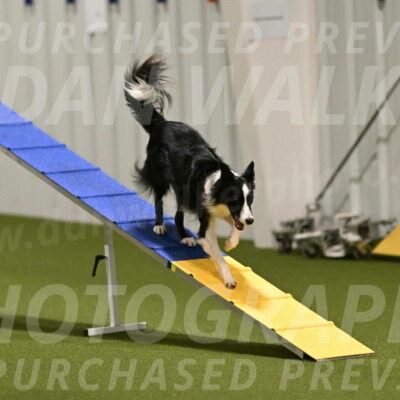 Keeper-Laurie-Wischt-03570