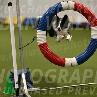 Keeper-Laurie-Wischt-03572