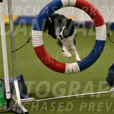 Keeper-Laurie-Wischt-03573