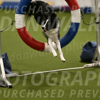 Keeper-Laurie-Wischt-03574