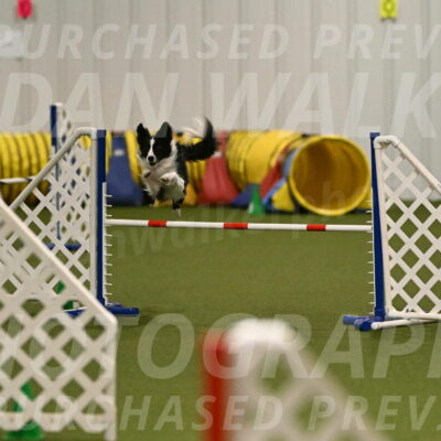 Keeper-Laurie-Wischt-03575