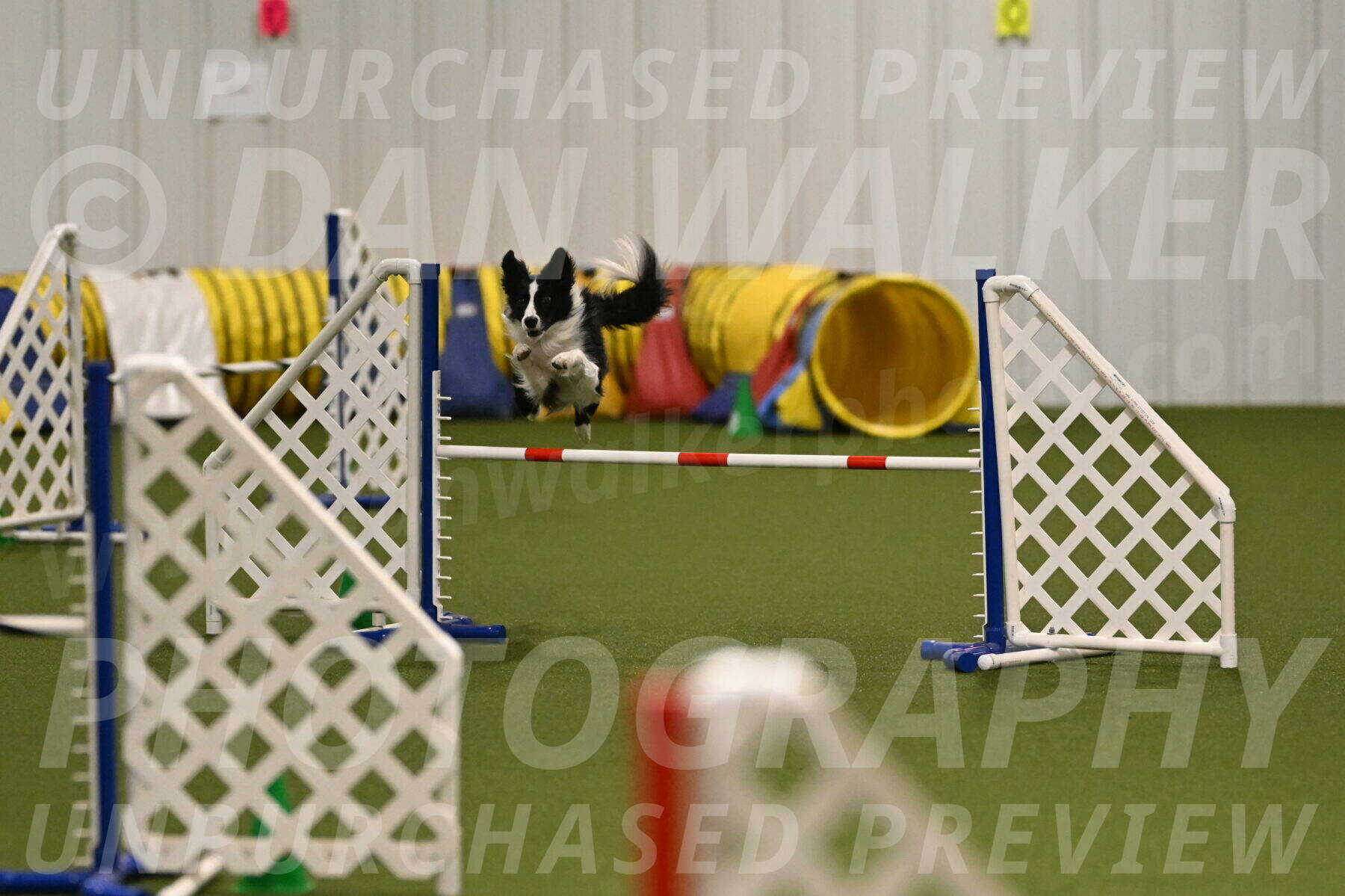 Keeper-Laurie-Wischt-03575