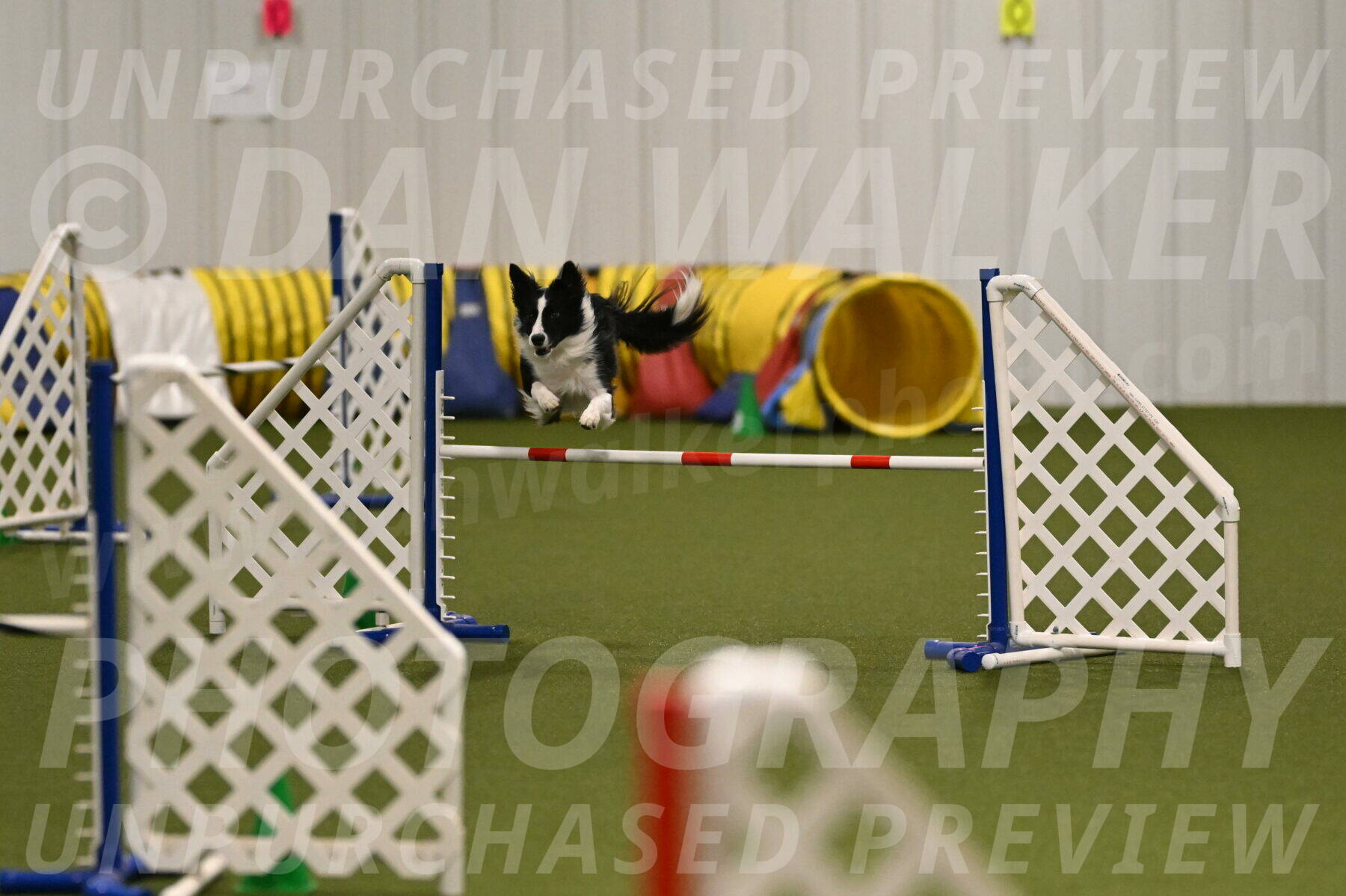 Keeper-Laurie-Wischt-03576