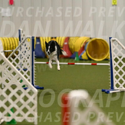 Keeper-Laurie-Wischt-03577