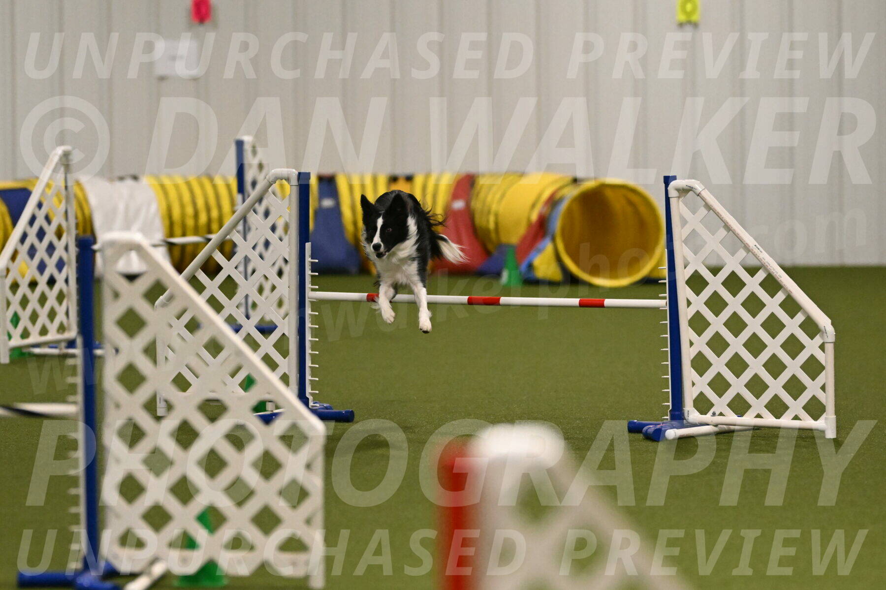 Keeper-Laurie-Wischt-03577