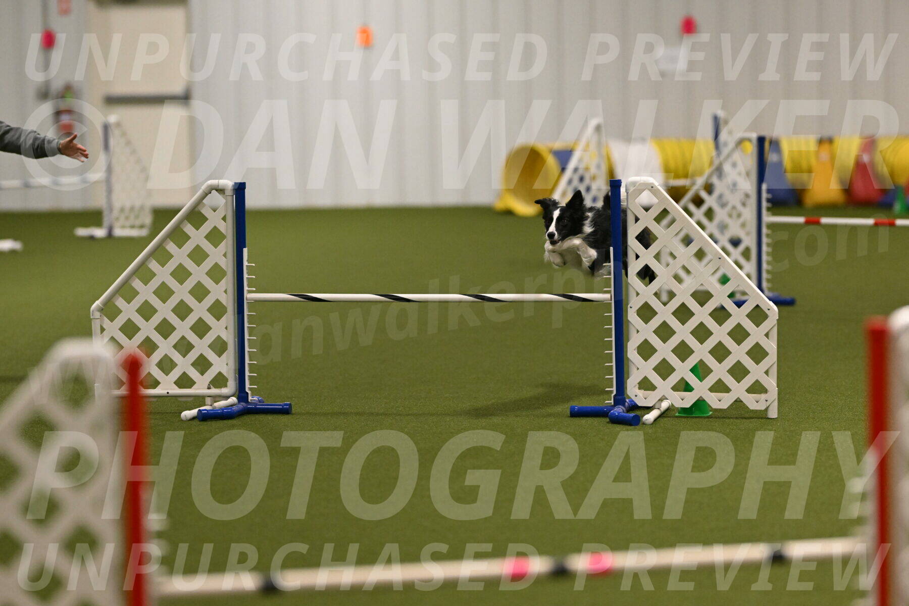 Keeper-Laurie-Wischt-03578