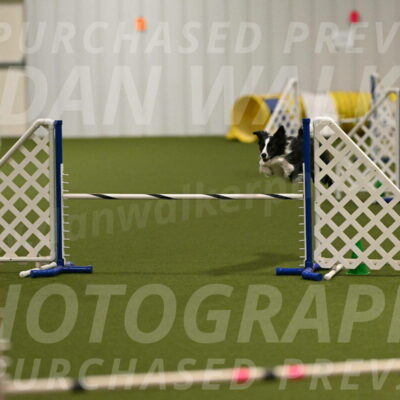 Keeper-Laurie-Wischt-03578