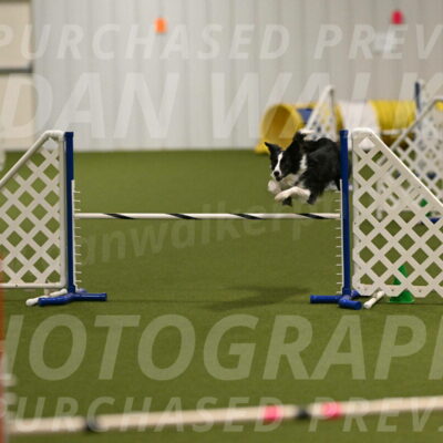 Keeper-Laurie-Wischt-03579