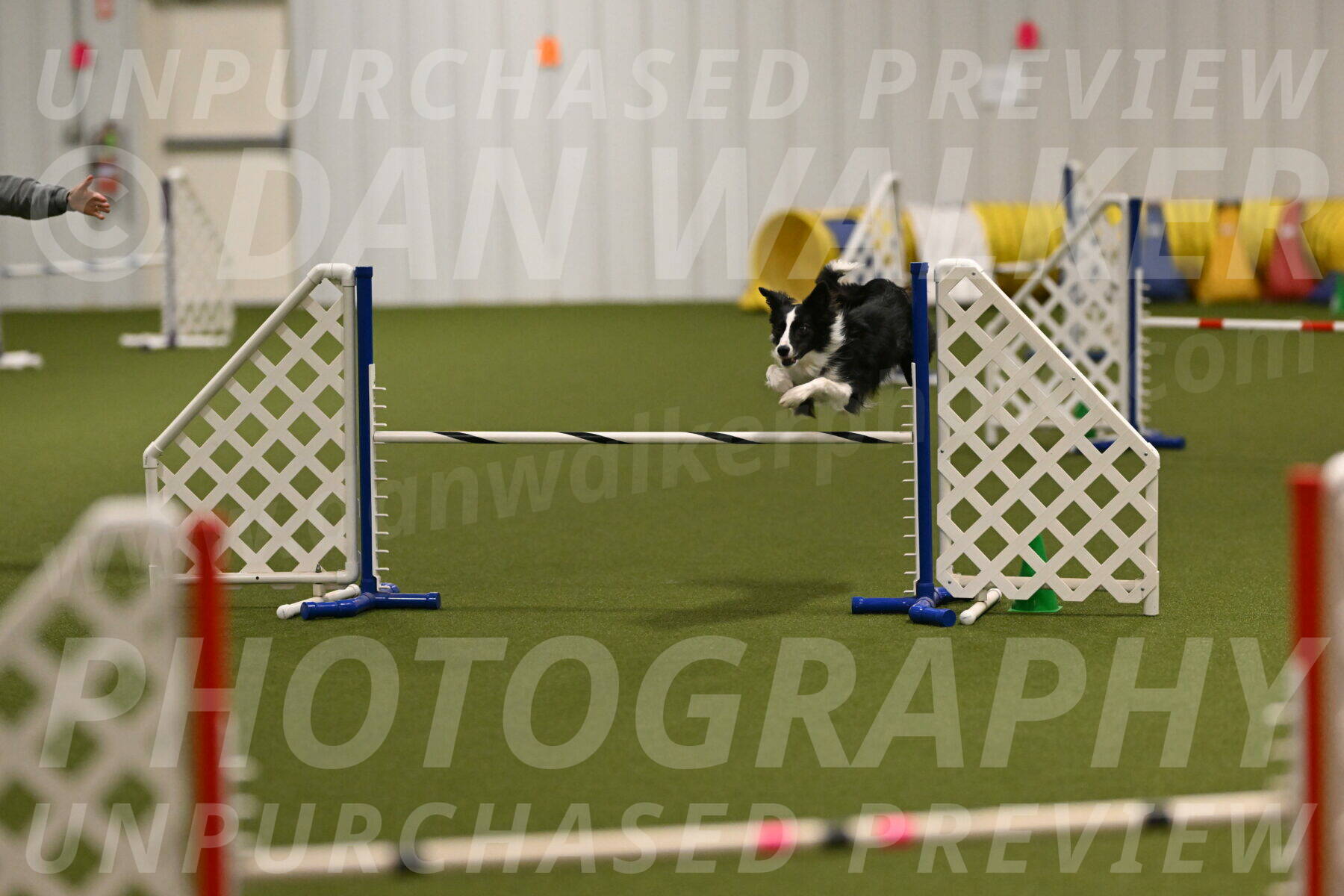 Keeper-Laurie-Wischt-03579