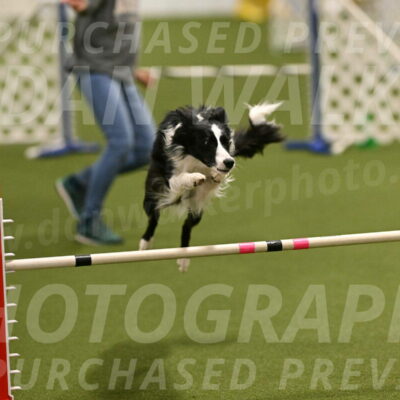 Keeper-Laurie-Wischt-03580