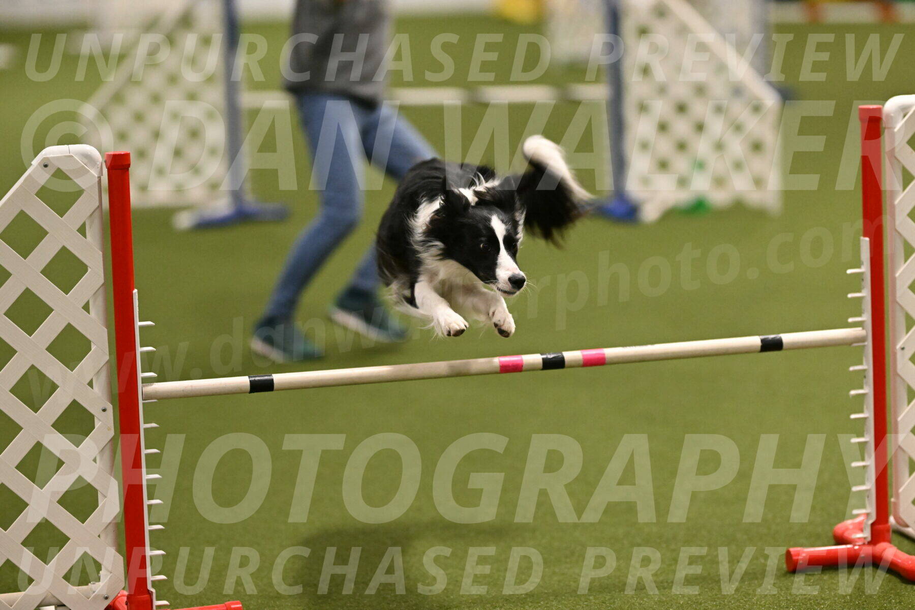 Keeper-Laurie-Wischt-03581