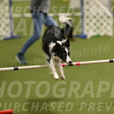 Keeper-Laurie-Wischt-03582