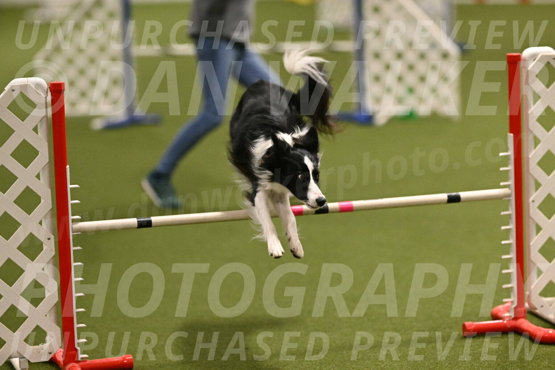 Keeper-Laurie-Wischt-03582