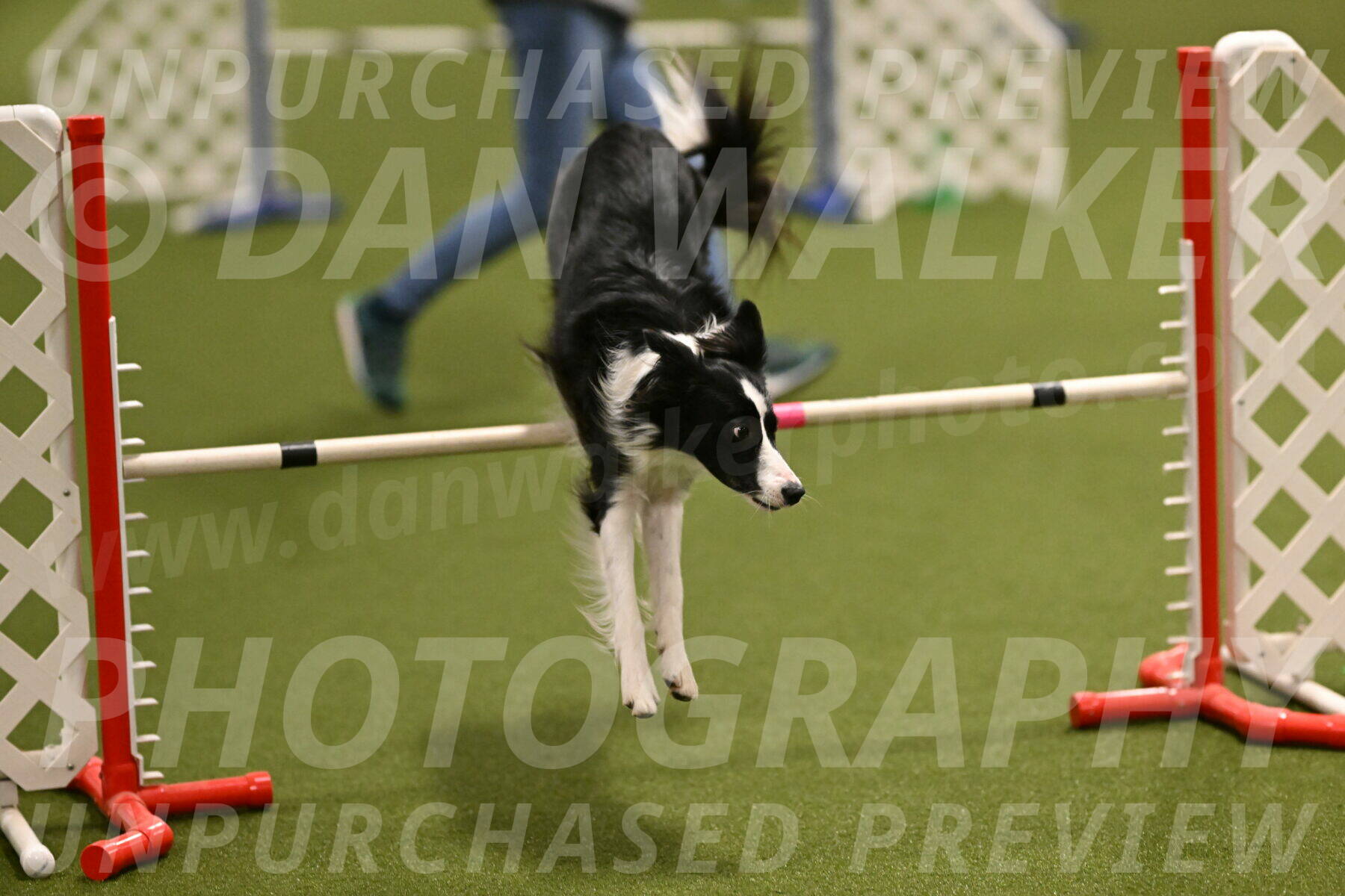 Keeper-Laurie-Wischt-03583