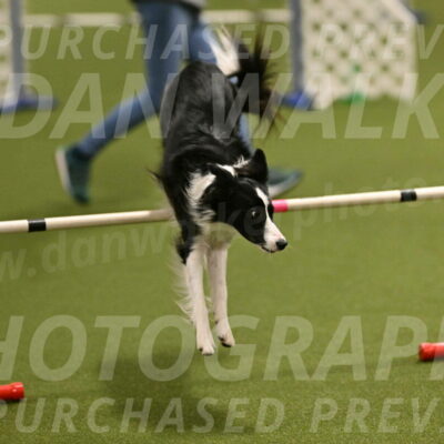 Keeper-Laurie-Wischt-03583