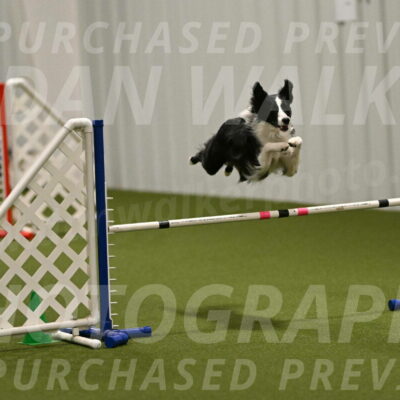 Keeper-Laurie-Wischt-03586