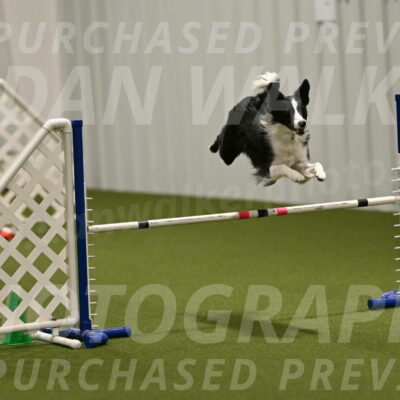 Keeper-Laurie-Wischt-03587