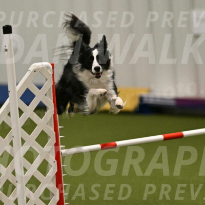 Keeper-Laurie-Wischt-03588