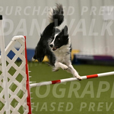 Keeper-Laurie-Wischt-03589