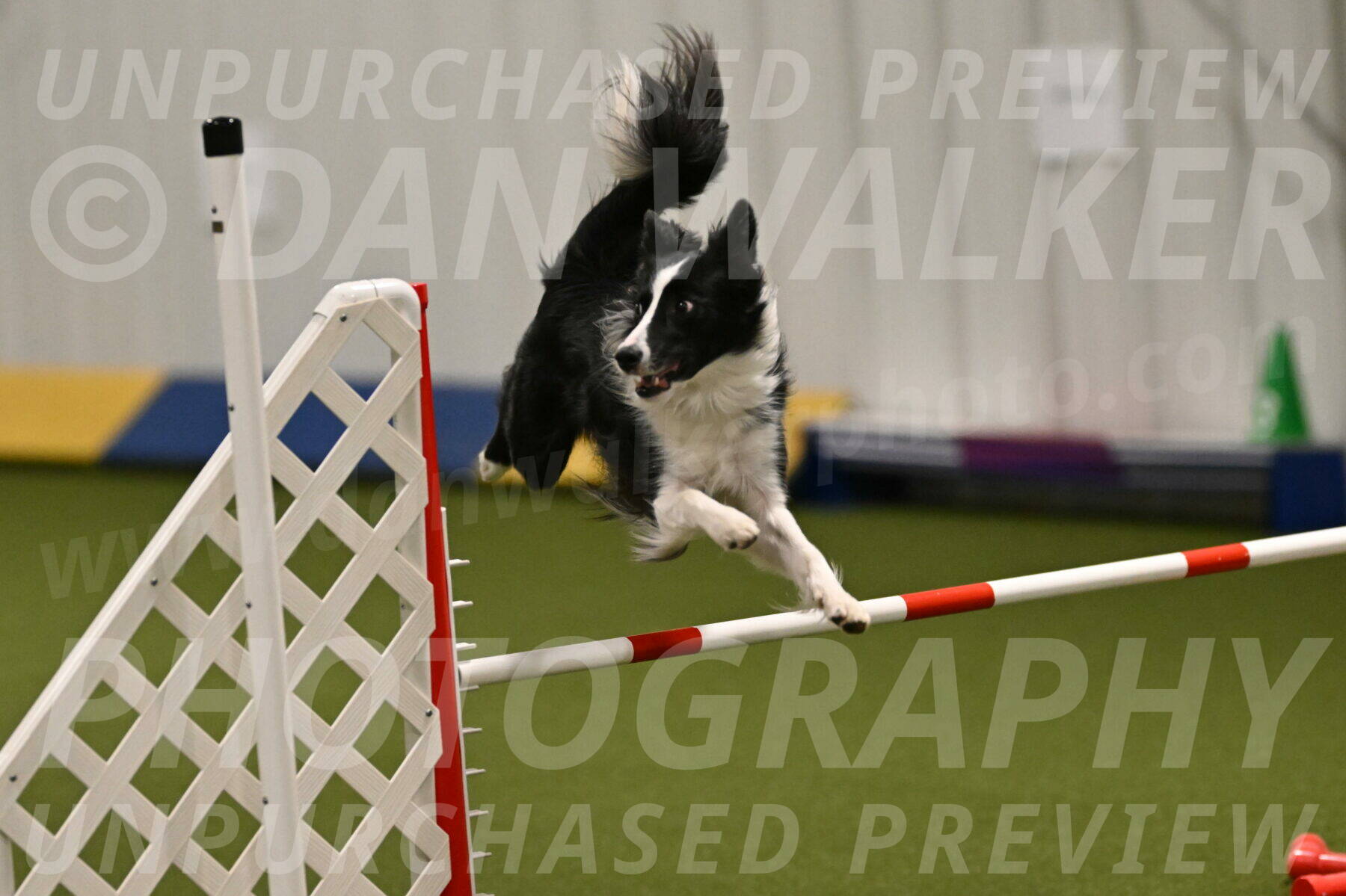 Keeper-Laurie-Wischt-03589