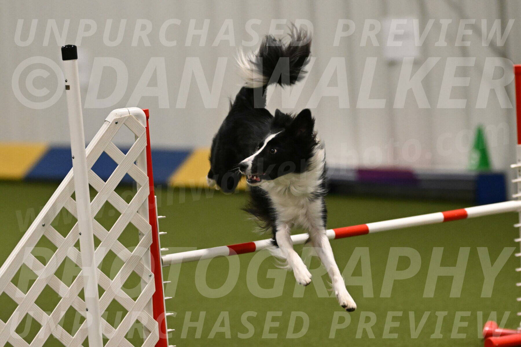 Keeper-Laurie-Wischt-03590