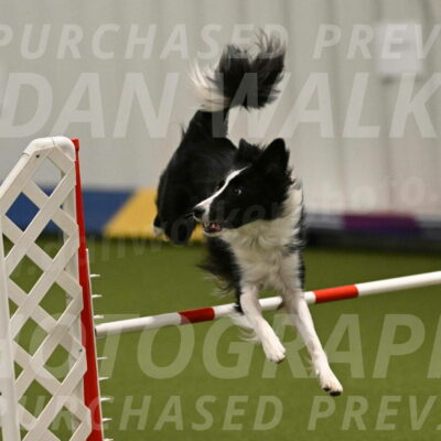 Keeper-Laurie-Wischt-03590