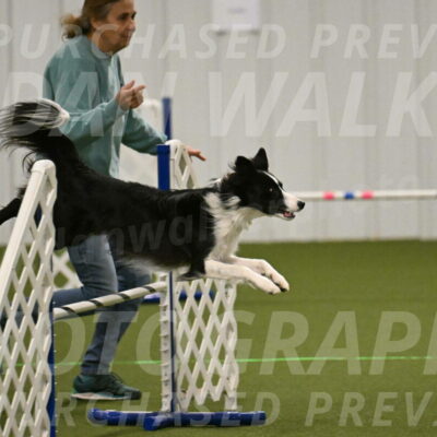 Keeper-Laurie-Wischt-03592