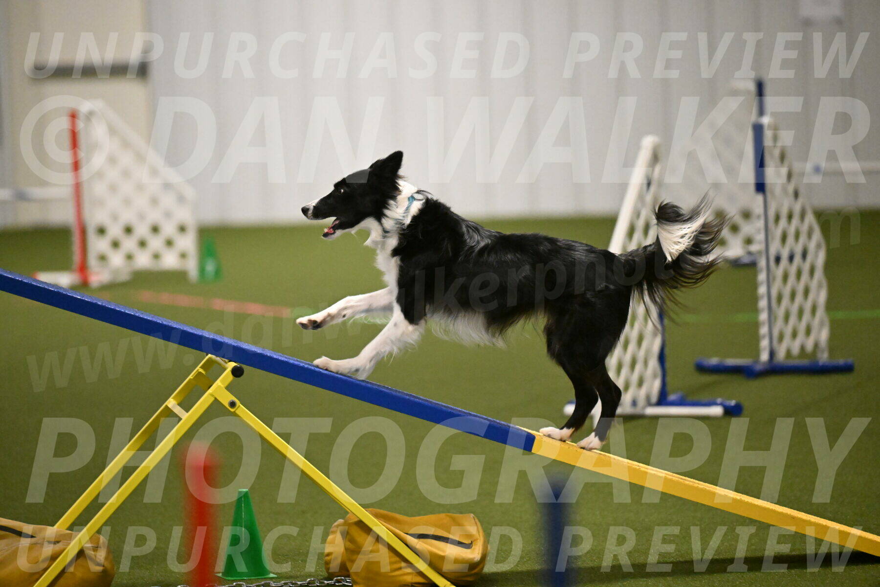 Keeper-Laurie-Wischt-03596