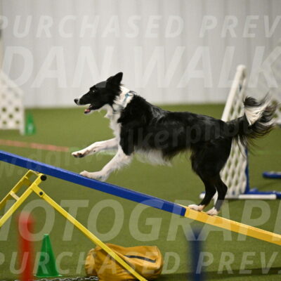 Keeper-Laurie-Wischt-03596