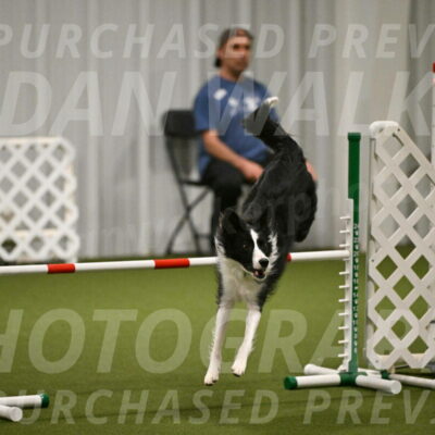 Keeper-Laurie-Wischt-03602