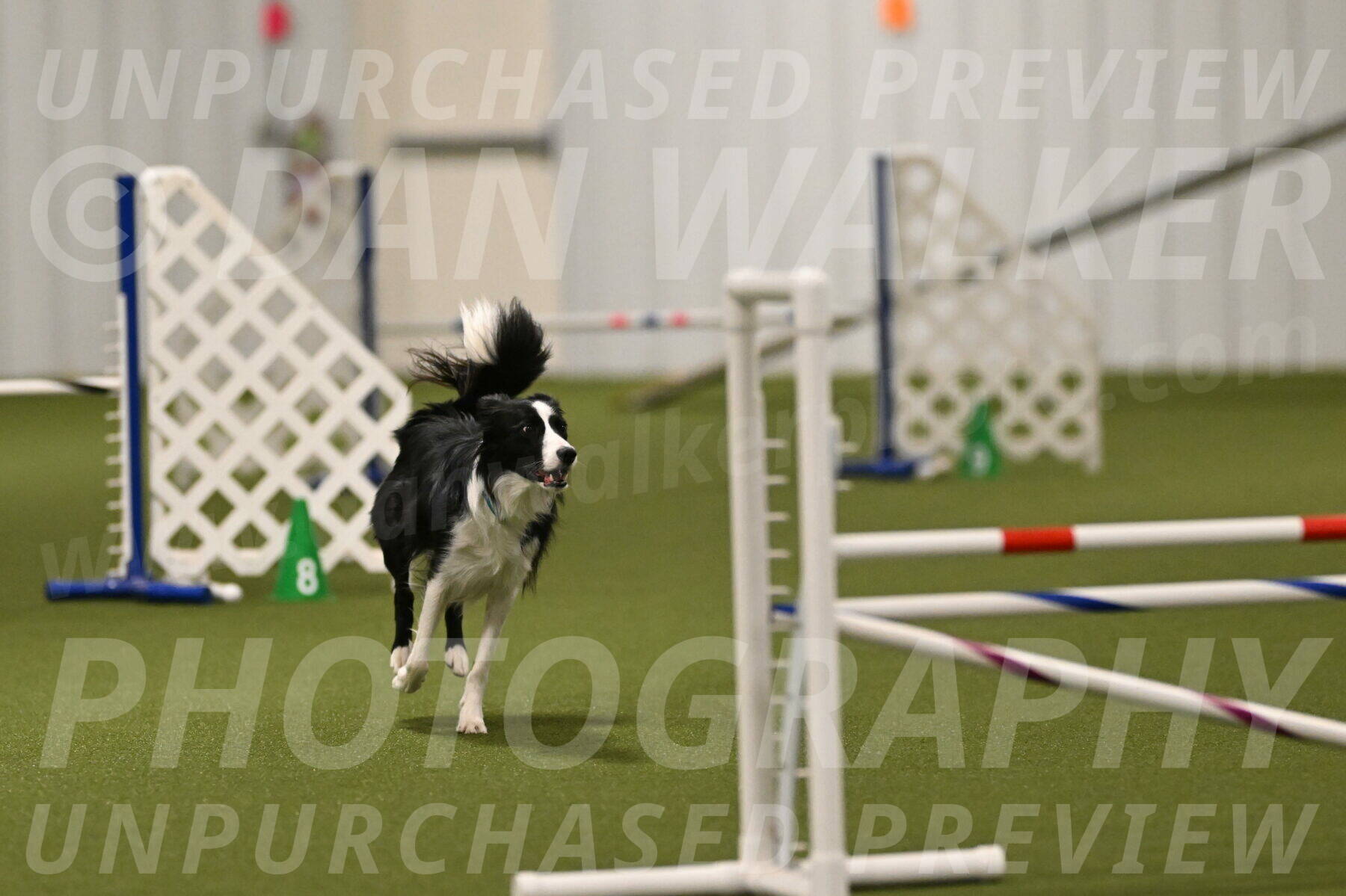 Keeper-Laurie-Wischt-03603