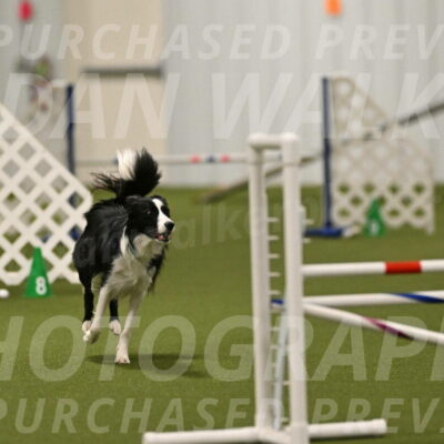 Keeper-Laurie-Wischt-03603