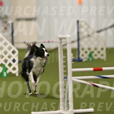 Keeper-Laurie-Wischt-03604