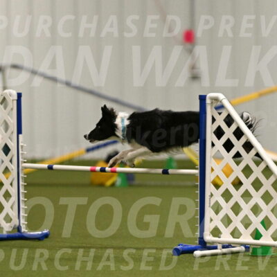 Keeper-Laurie-Wischt-03605